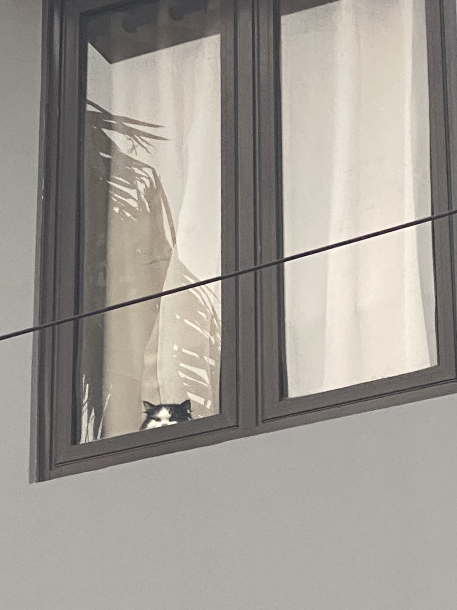 oreogemay's tweet photo. bayangin aja pulang kuliah, trus liat ginian di jendela kamar, APA GA GEMAAASHHH GA SABAR PENGEN MASUK MAU PELUUUKK AKXHWPNXKWBSKW😮‍💨😮‍💨🤧🤧🤧🫶🏻🫶🏻🫶🏻🩷🩷💘💘💖💞💓💗 https://t.co/HwO1jZrTda