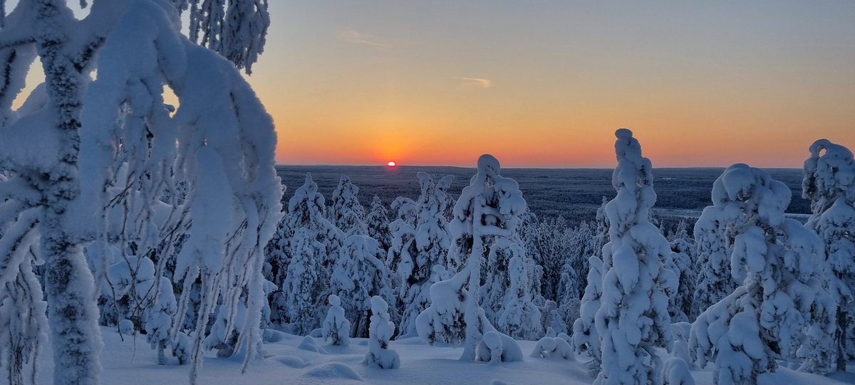 The last #sunrise of year 2023 in #Ounasvaara. #HappyNewYear2024 from the #ArcticCircle! #Finland #Lapland #Rovaniemi