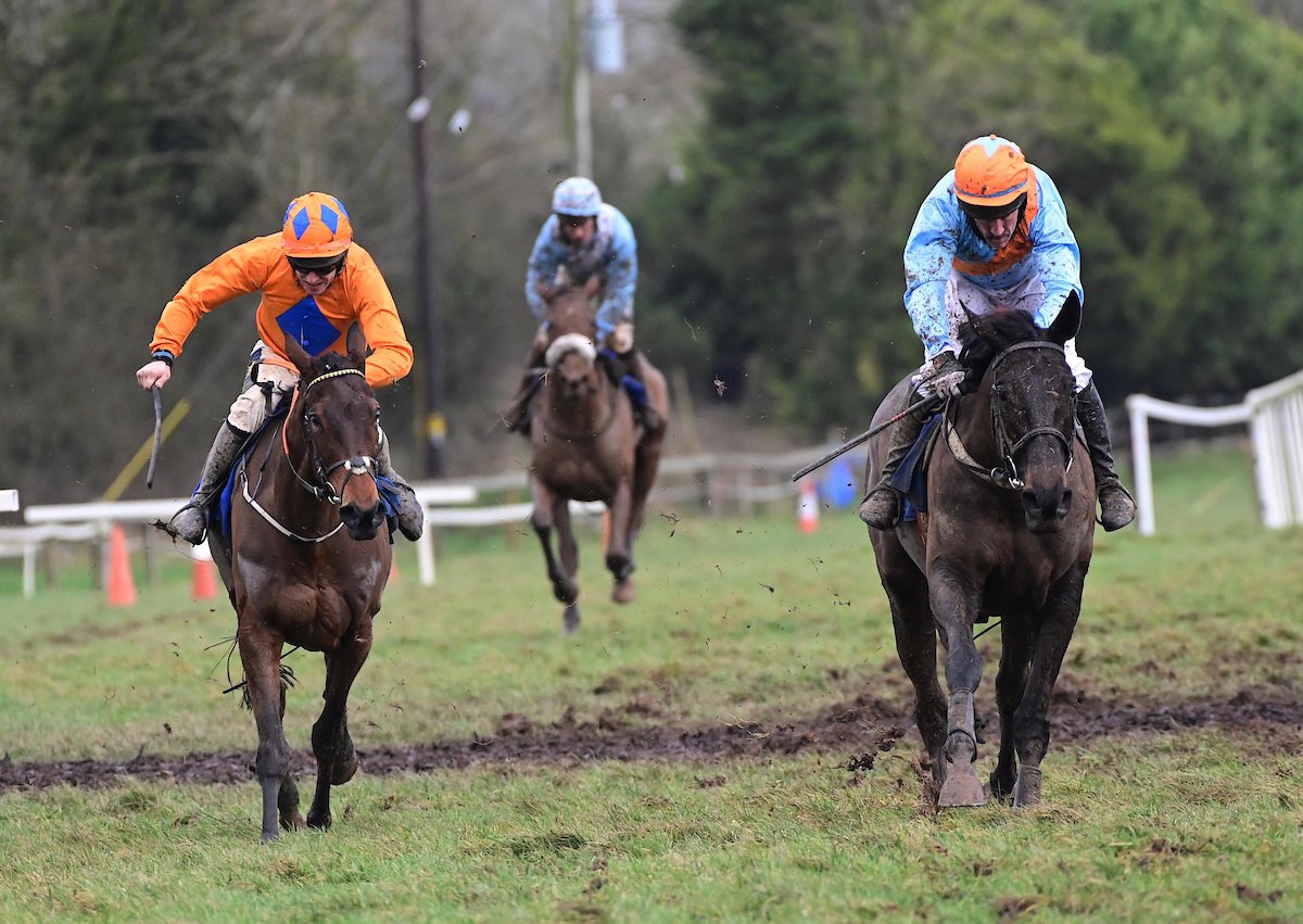 Dancetilldawn ridden by Tom Geoghegan winner of the 5&6yo mares maiden in Dromahane 📸 healyracing.ie