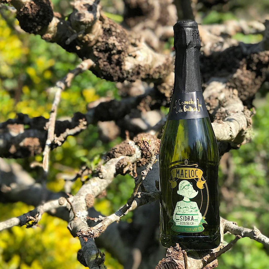 Último día del año y nosotros nos despediremos del 2023 brindando con nuestra #sidraextraecológica <a href="/maelocway/">maelocway</a>. ¿Y tú?

¡Etiquétanos en tu brindis por el nuevo año! 

¡Feliz 2024 a todos!

#maeloc #sidragallega #ecologica #CosechadeGalicia