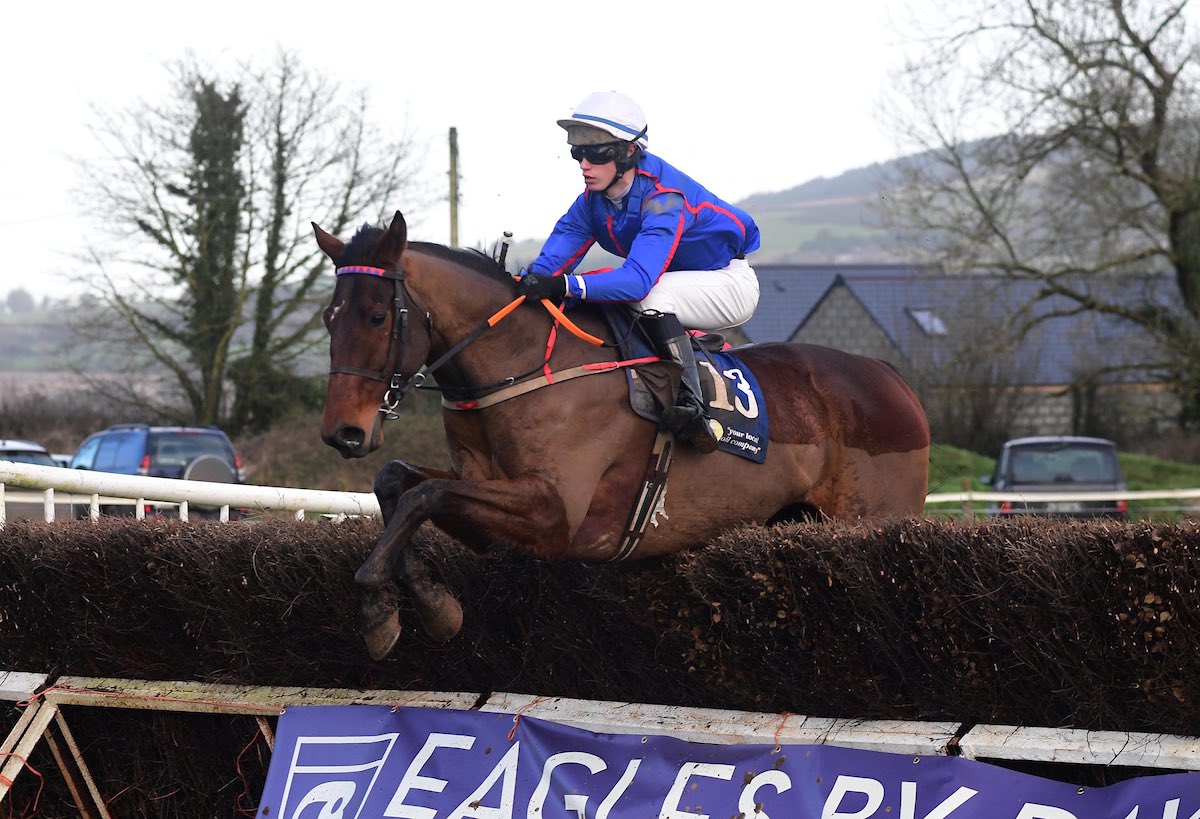 Sampoet ridden by Andrew Burke Ott won the final P2P race of 2023 📸 healyracing.ie