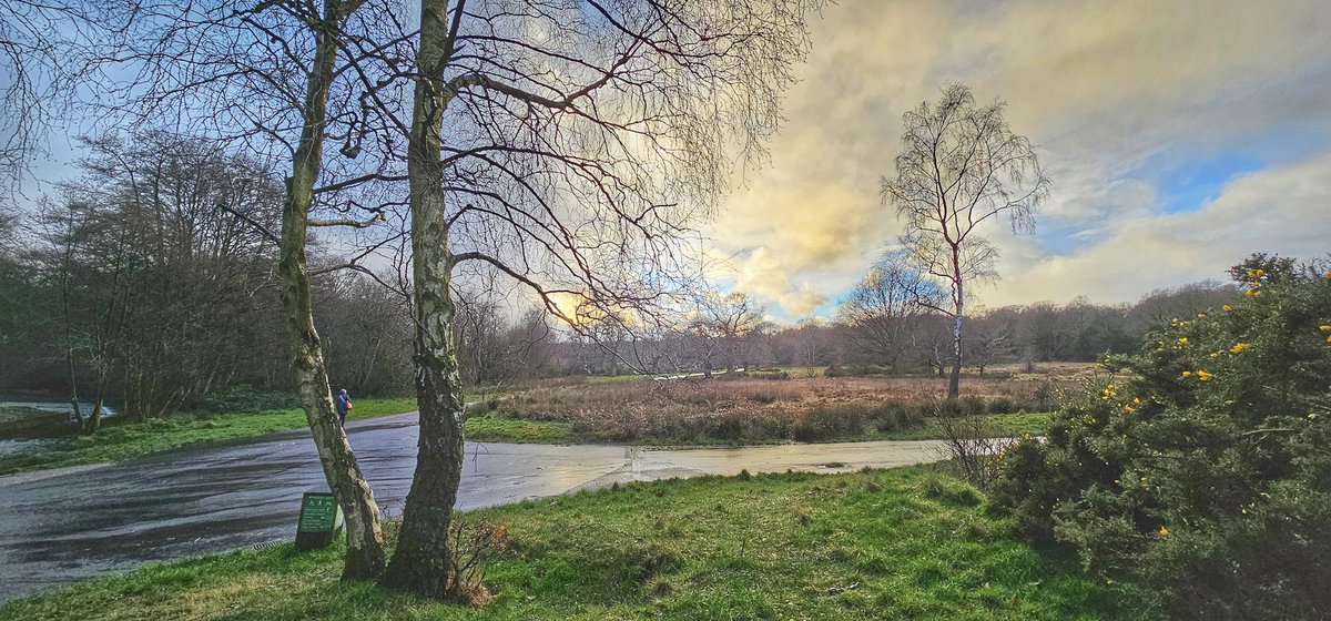 End of the year scenes around Sutton Coldfield. Happy New Year! @ChrisPage90 @WeatherAisling @Ruth_ITV @manalilukha @EmmaJessonTV @JoBlytheTV @AmandaHouston @itvweather