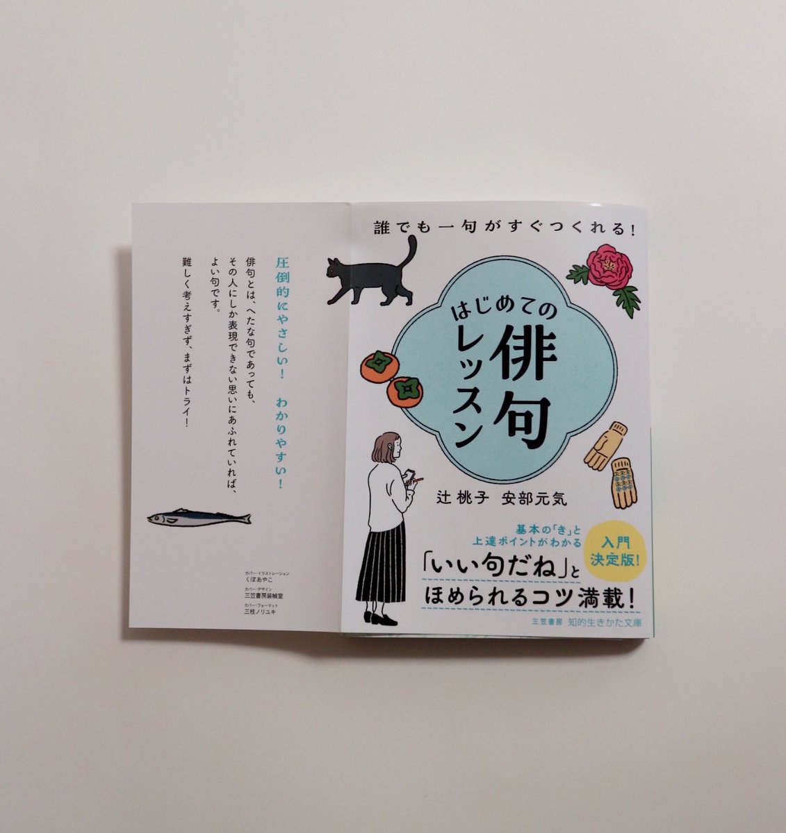 辻 桃子 安部元気 著
『はじめての俳句レッスン』
イラストを担当しました。 