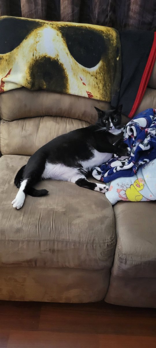 Got my nails done today..ode to my Tuxi's