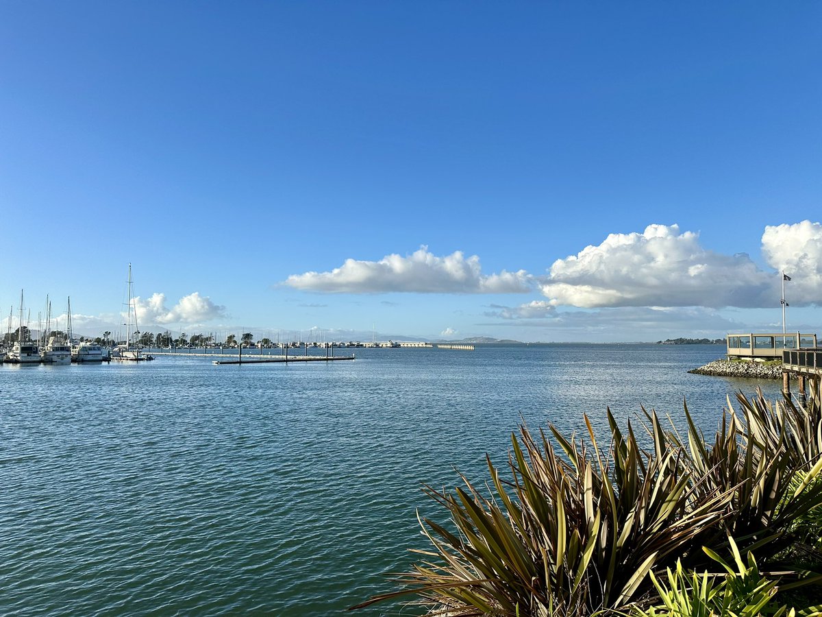 kmhoovs's tweet photo. A beautiful day at the marina, with the sky a stunning shade of blue and the sun warming the docks. https://t.co/xs9APS0dTK