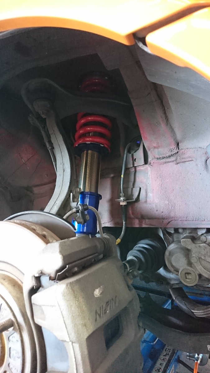 アッキー🍊Orange Edition tweet media