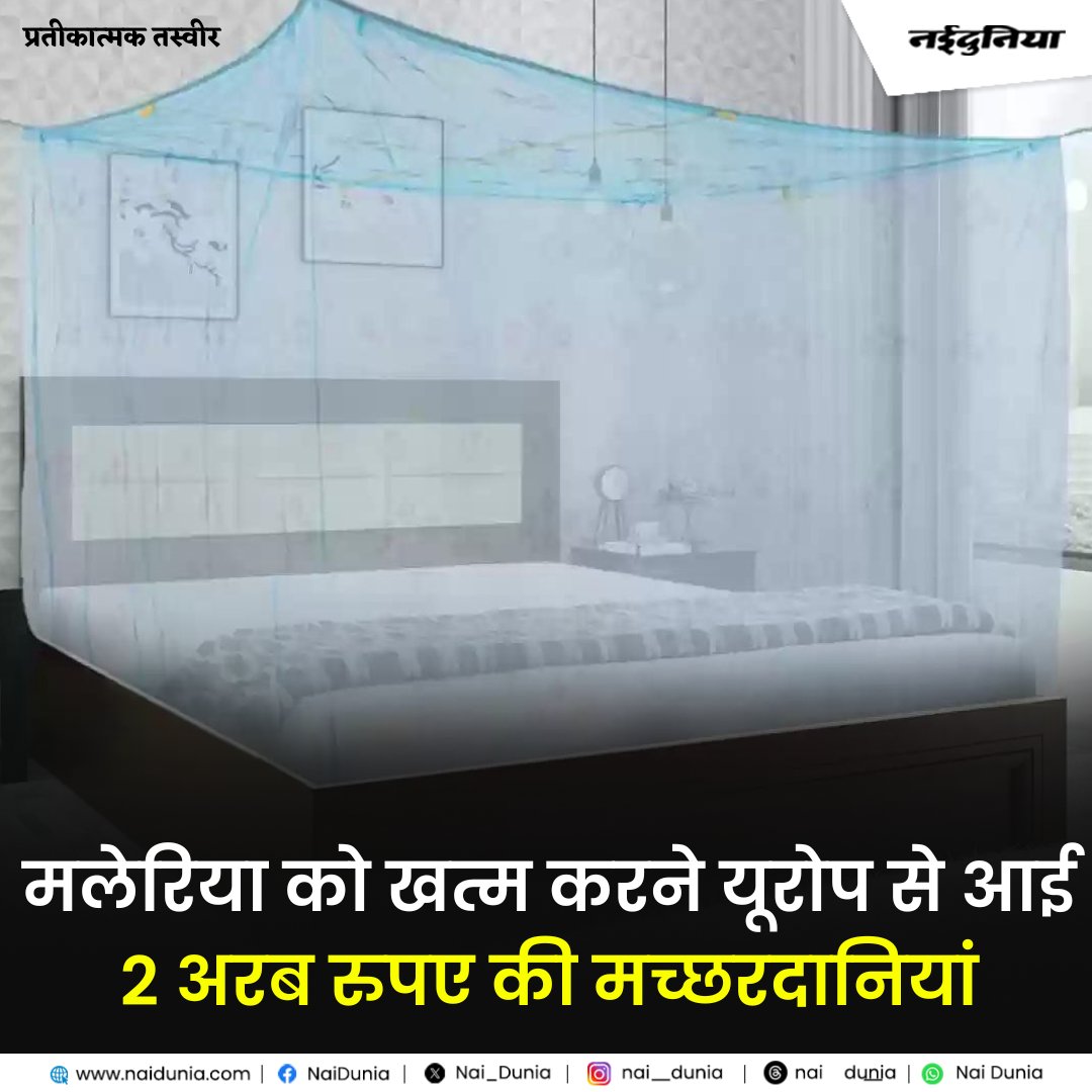 Nai_Dunia's tweet image. shorturl.at/pzPSZ || मलेरिया को खत्म करने यूरोप से आई दो अरब रुपए की मच्छरदानियां
#MPNews #Malaria #MosquitoNet #2Billion #Naidunia