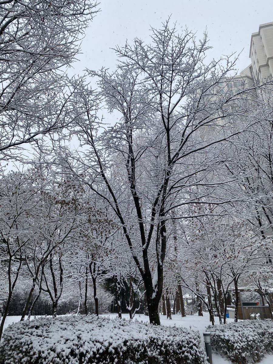 유부마리아 (@illusion085) on Twitter photo 