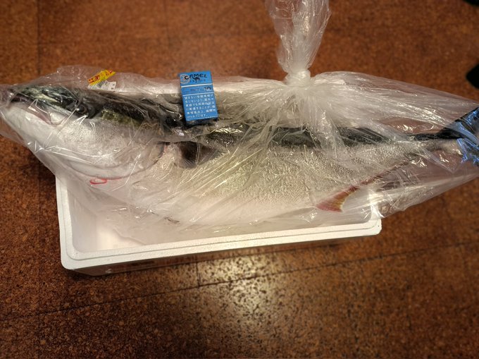 嫁の実家で鰤しゃぶ!
これから捌くそうで…いやデカい! 