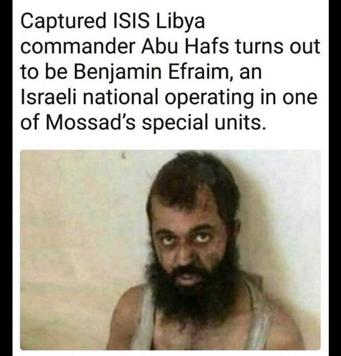 squad 14 tweet media