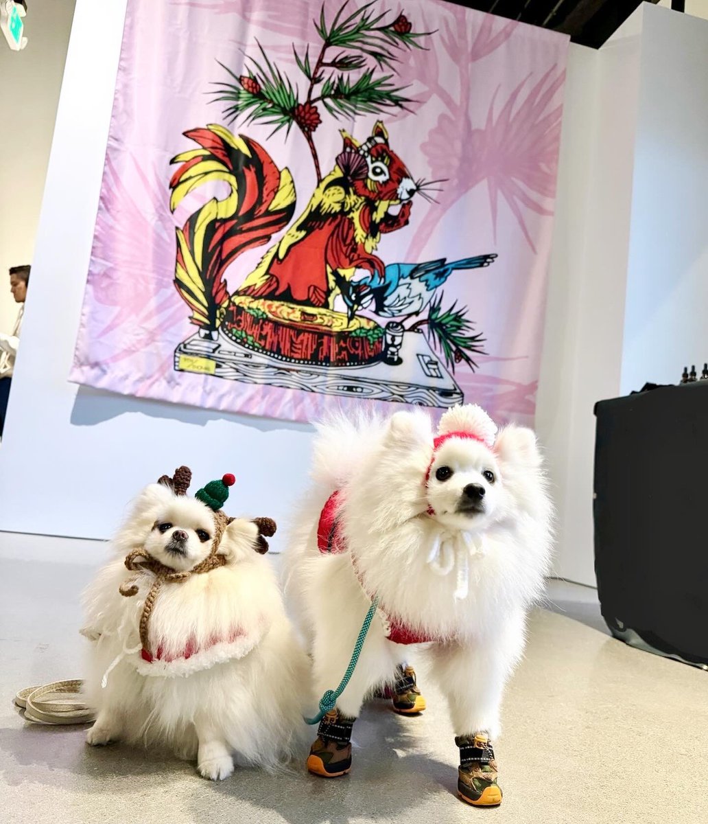 mochi_TeacupPom's tweet image. The slayest puppies at the @9thandthomas ☁️💓🐻‍❄️ #9thandthomas #dogsofseattle #dogsofslu #dogsofpnw #doginreindeerhat #dogcrochethat #handmadewithlove #dogscarf #doginchristmasoutfit #seattle #포메라니안 #ポメラニアン #シアトル #犬用ケープ #犬用クリスマス衣装 #サンタ犬 #トナカイ犬