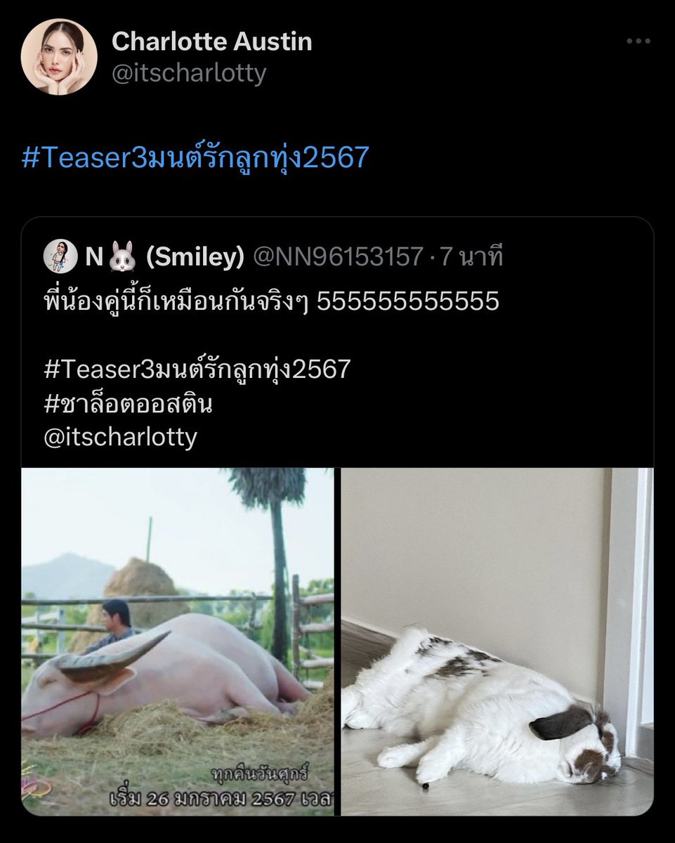 itsduckduckx's tweet image. ครั้งหนึ่ง🌻🤍