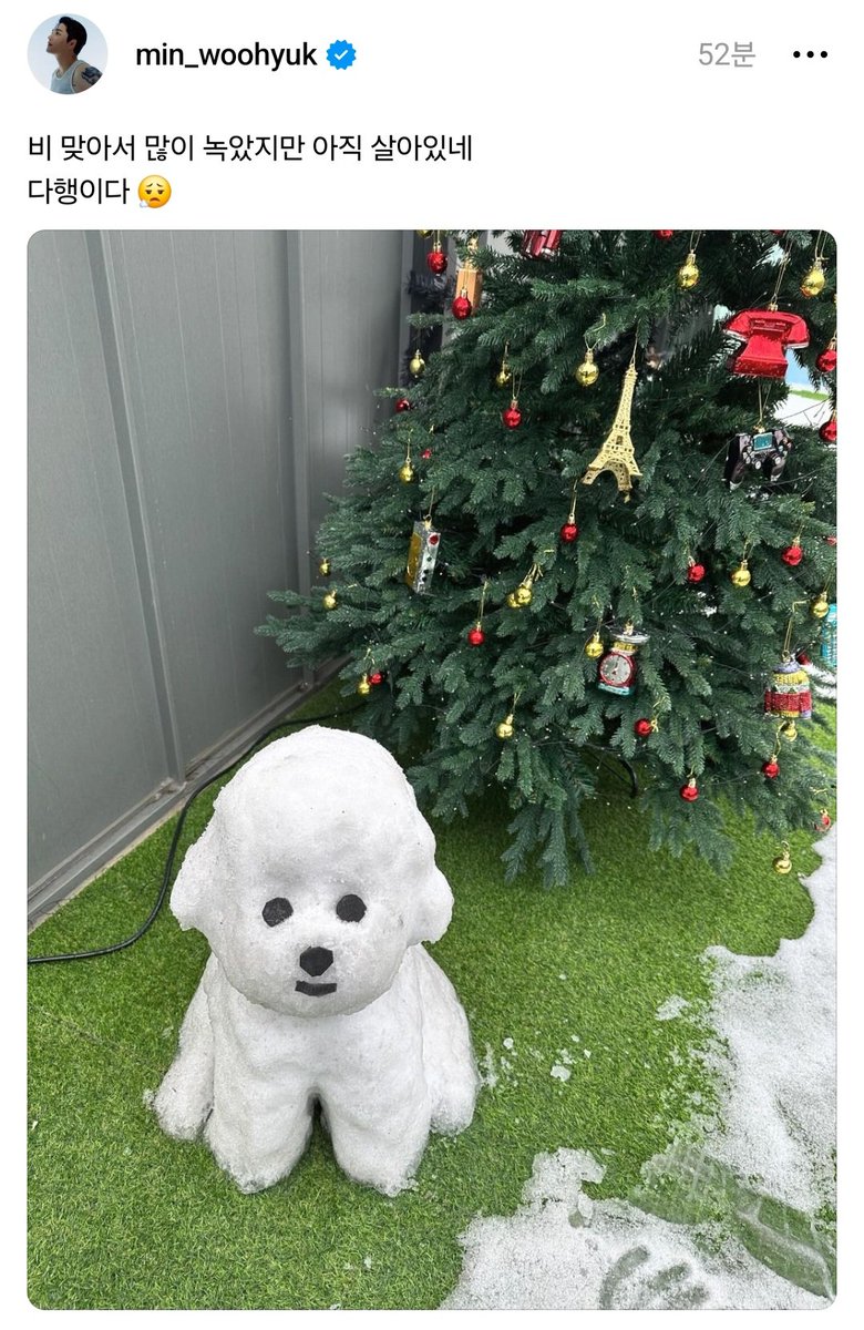 어제 퇴길 하면서도 자기 비숑 어쩌냐고 걱정하더니ㅋㅋㅋ큐ㅠㅠ