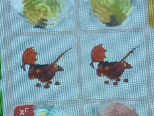 Xin_Chii's tweet photo. Selling #adoptmepets  for #Gcash 
---- 2 FULLGROWN Lava dragon 
---- 40 each : 70 if take both
---- dm if interested
---- ngf
#adoptmeoffer #adoptmeroblox #adoptmesell
#adoptmegcash #adoptmegws #adoptmechristmas https://t.co/P1FZO8deGi