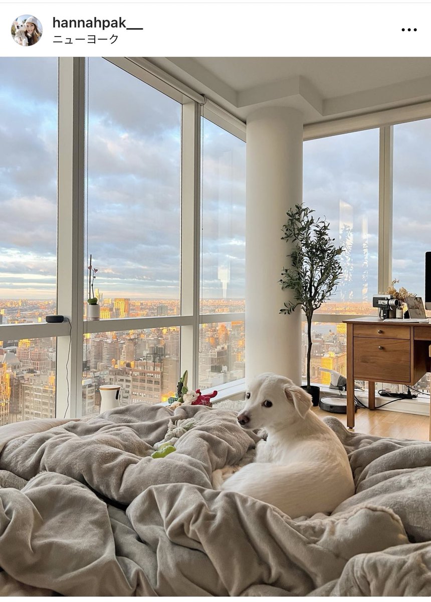 ShinokiDesign's tweet image. 勝手におすすめのインスタグラマー＆YouTuberさんを紹介するシリーズ第二弾🤣

Hannah Pakさん👩🏼‍💻
youtube.com/@HannahPak?si=…

雑誌Vogueの動画編集者で、
ニューヨークとブルックリンの2拠点の高層マンションを行き来しながら、その多忙な日常を等身大で発信されてます。
音楽のセンスがとても好き。…