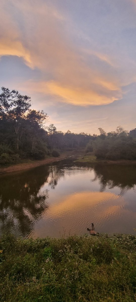 Adithya Venkatesan tweet media