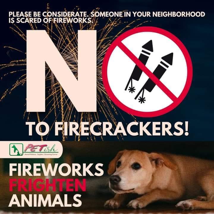 PurpleLightsOT7's tweet photo. As the clock ticks closer to New Year's Eve, spare a thought for us, the furry friends living in the shadows. Loud bangs and flashes terrify us, sending our hearts racing and our paws scrambling.
Make this New Year's one where we can all find peace, together.
#NoToFirecrackers https://t.co/AF1jU7rDA3