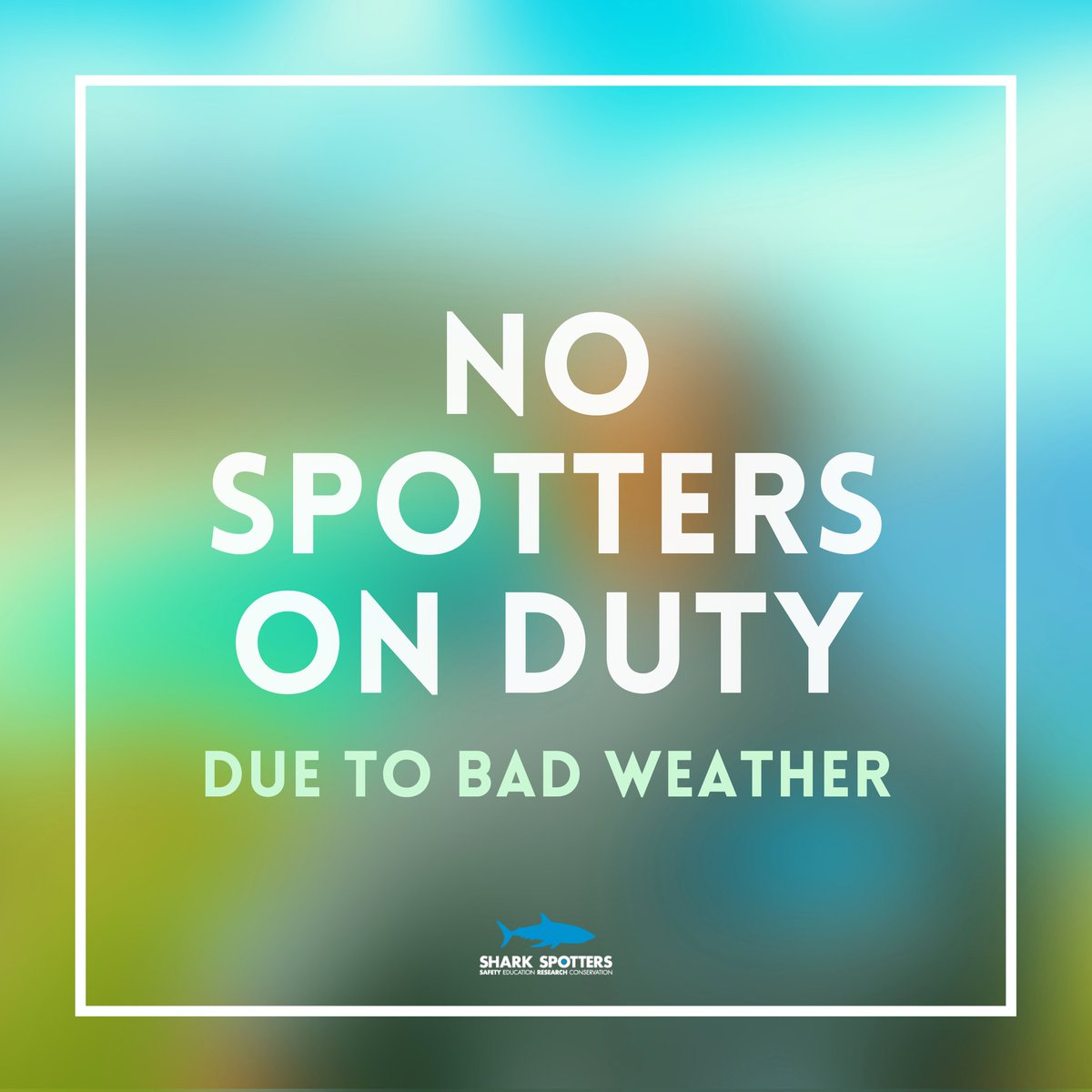 𝗔𝗧𝗧: 𝗡𝗢 𝗦𝗣𝗢𝗧𝗧𝗘𝗥𝗦 𝗢𝗡 𝗗𝗨𝗧𝗬

Please be advised that there will be no spotters on duty today, December 31, 2023, due to prevailing weather conditions.

We urge all water users to exercise caution and ensure their safety while in the water.

#BeSharkSmart