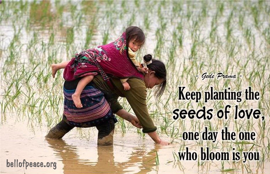 RT @Dianne__LadyD Keep Planting The Seeds Of #Love, One Day The One Who Bloom Is You
~ Gede Prama
#LightUpTheLOVE 
#TuesdayThoughts 
#LUTL 
#InspireThemRetweetTuesday 
#JoyTrain 
#belove 
#ThinkBigSundayWithMarsha 
@gede_prama