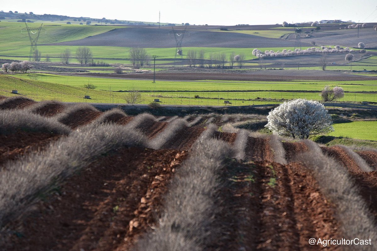 Tractorista de Castilla 🚜💨 (@agricultorcast) on Twitter photo 
