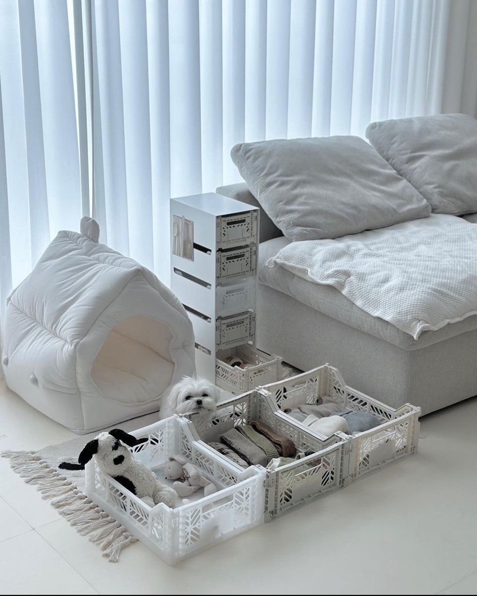 Waking up to this confused cutie.