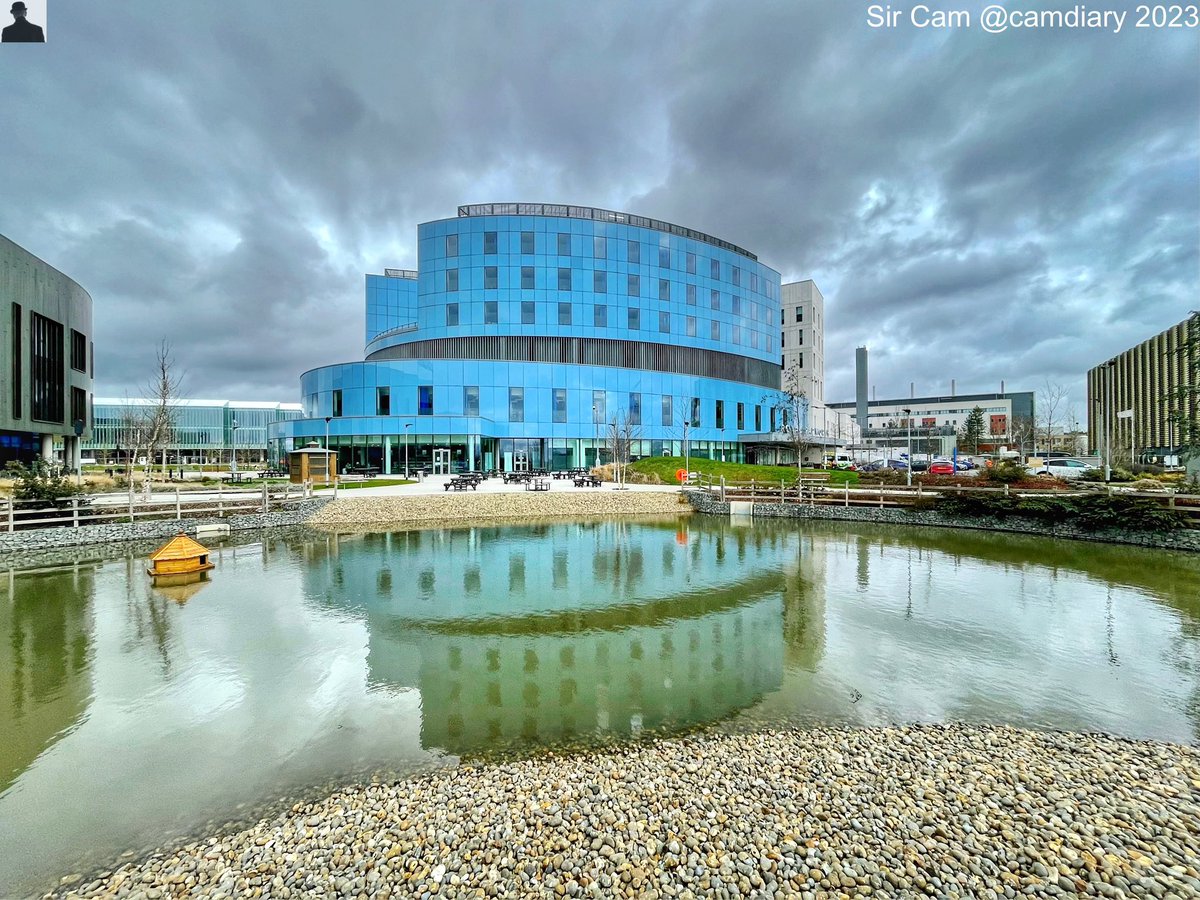 Cambridge 2023 - Reflections, January - March. Clare Bridge, UL, Pembroke Boathouse, Papworth Hospital.