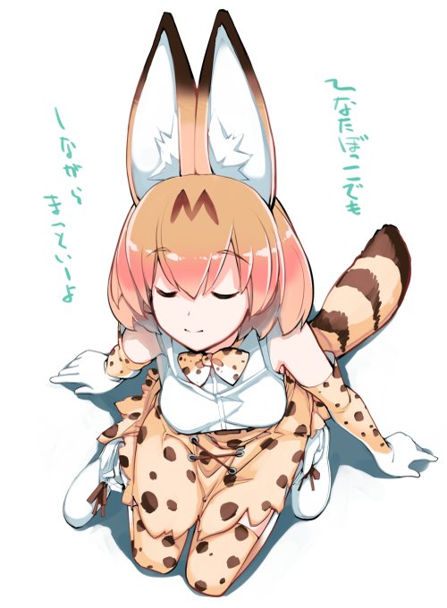 今までの本日の一枚 けものフレンズ総集編セット3    2019年3月 2020年1月 2020年5月 2019年3月頃制作  #本日の一枚 #けものフレンズ #サーバル #かばん #アフリカオオコノハズク #タイリクオオカミ 