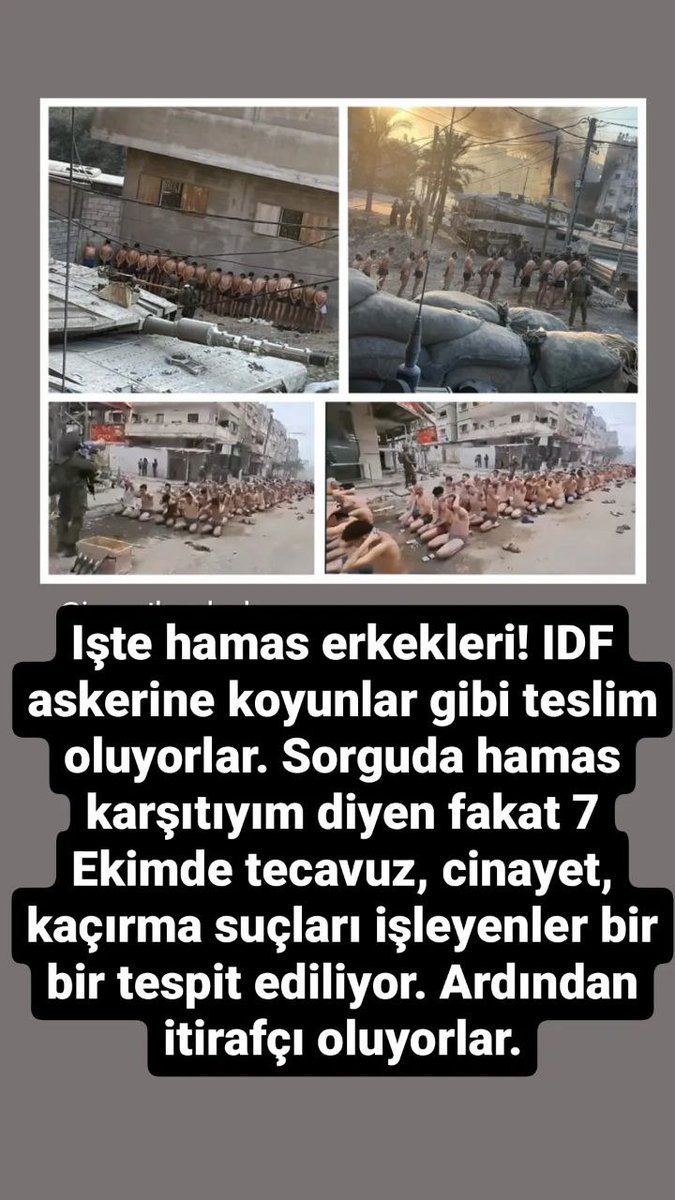 ShemaNews's tweet photo. Işte Hamas erkekleri! IDF askerine koyunlar gibi teslim oluyorlar. Sorguda hamas karşıtıyım diyen fakat 7 Ekimde tecavüz, cinayet, kaçırma suçları işleyenler bir bir tespit ediliyor. Ardından itirafçı oluyorlar. https://t.co/R6MAke26Ng