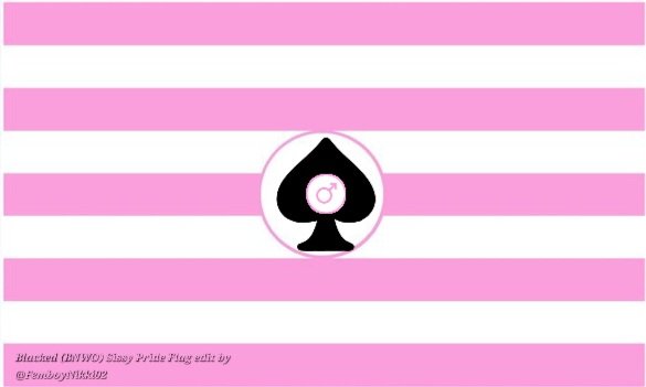 FemboyNikki02's tweet photo. Original flags are not mine (added next to the edited versions) However I was thinking of concept flags for us sissies who follow the BNWO. https://t.co/TauFmhJ1xp