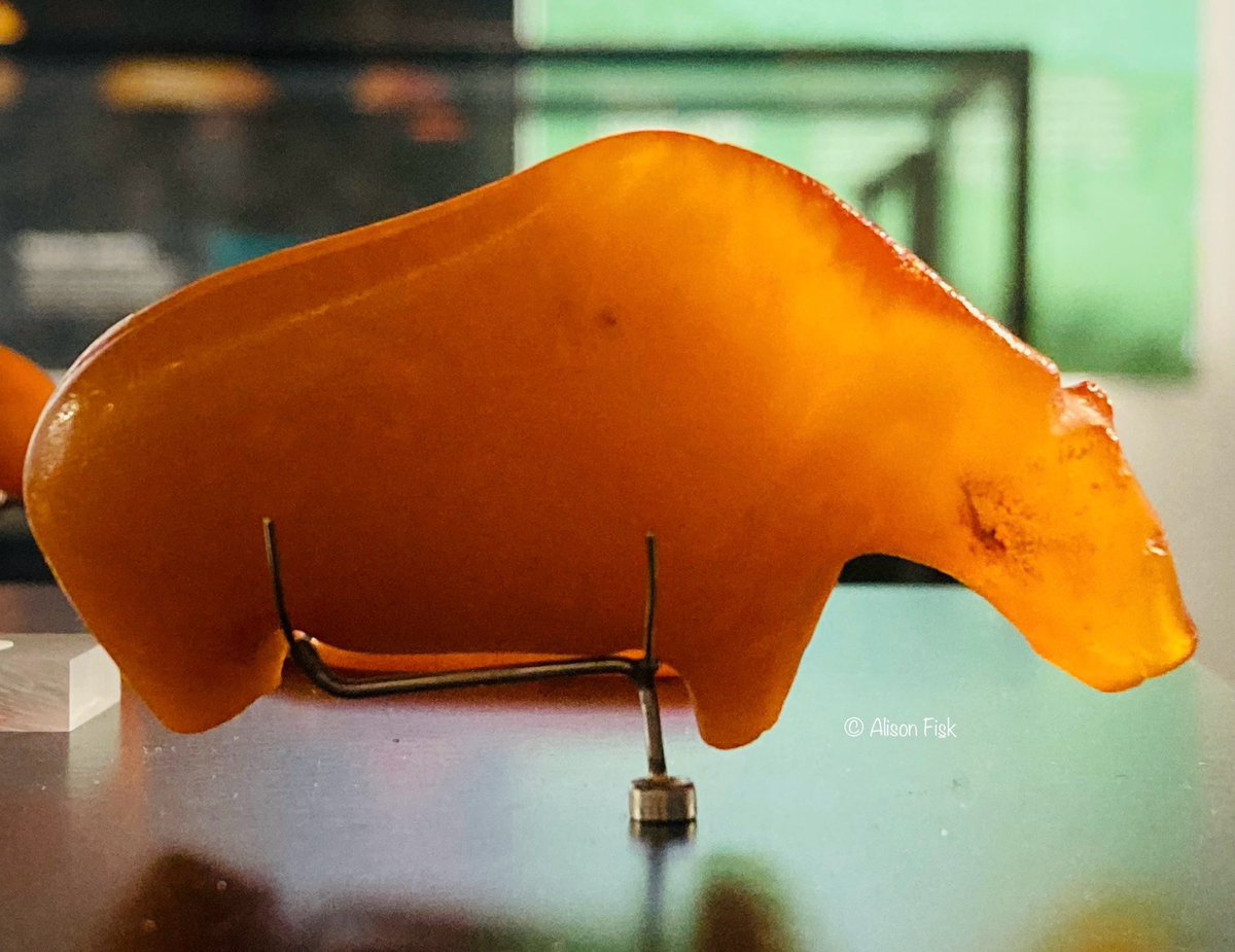 AlisonFisk's tweet photo. As the New Year approaches I wish you all a Happy New Year!

I’m signing off 2023 with a magical find.

An ancient amber bear. Carved some 10,000 years ago, it washed up on a beach at Fanø in Denmark from a submerged Mesolithic settlement under the North Sea.

National Museum of Denmark, Copenhagen. Photo my own.

Read more about amber from submerged settlements: https://t.co/v0pQ2X7kWo

#Archaeology