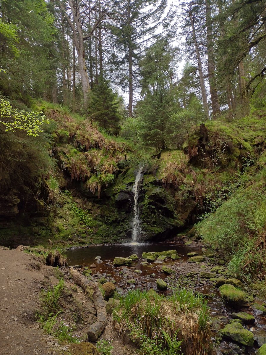 EscapePlan1485's tweet photo. #StandingStoneSunday
Three Kings, Northumberland, England. Photos from back in the summer.  Much logging work had taken place. Within walking distance is the amazing waterfall at Hindhope Linn. https://t.co/L7JRr0dnuX