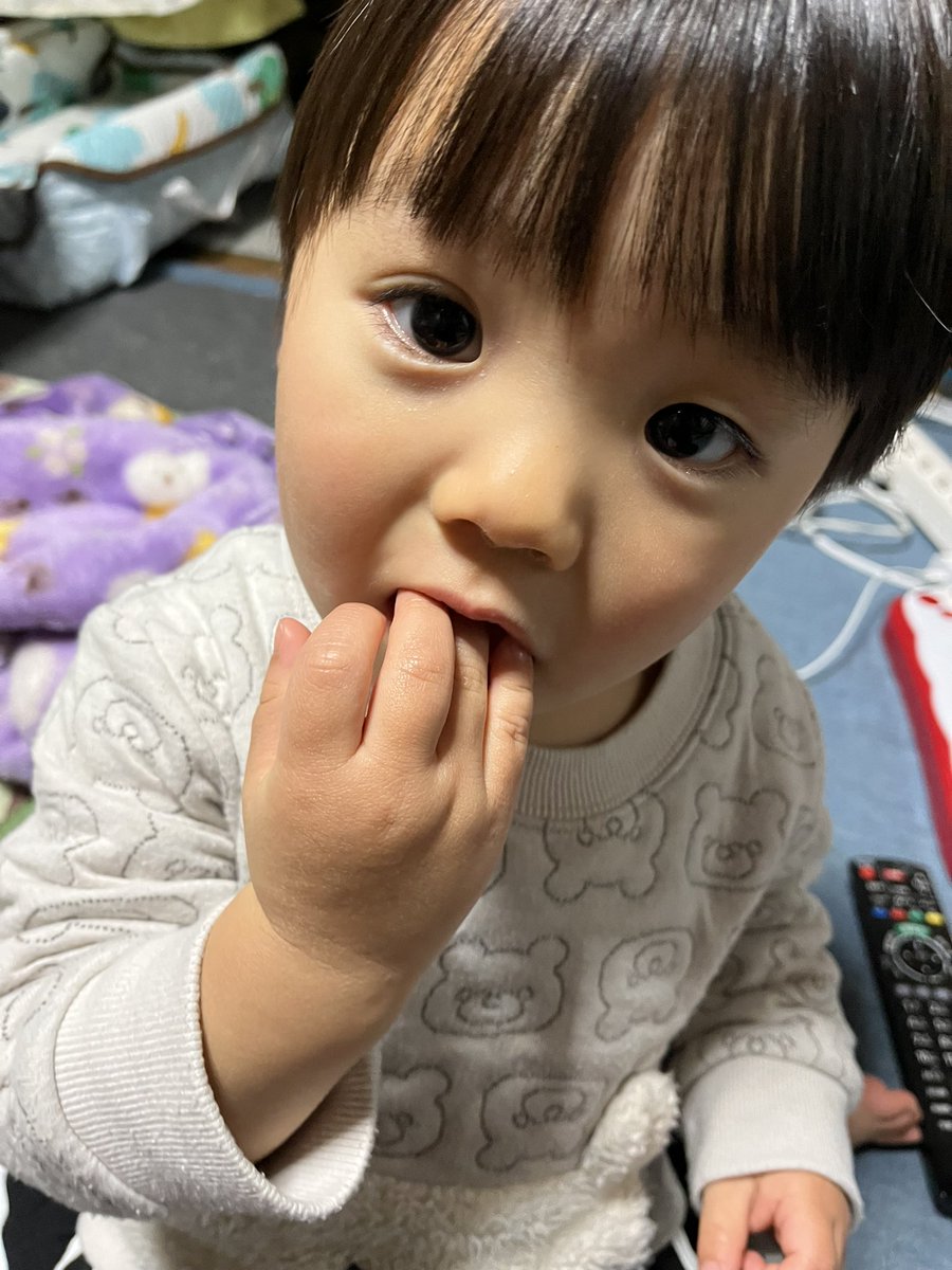 9mm555S's tweet photo. 今年も倅が可愛かった
俺に似るなよ https://t.co/N87lnFR9zJ