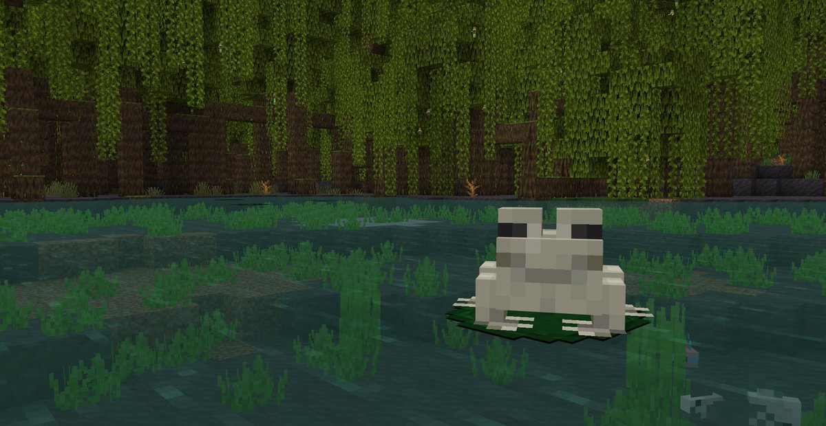 ZaiLetPlayNewsL tweet picture