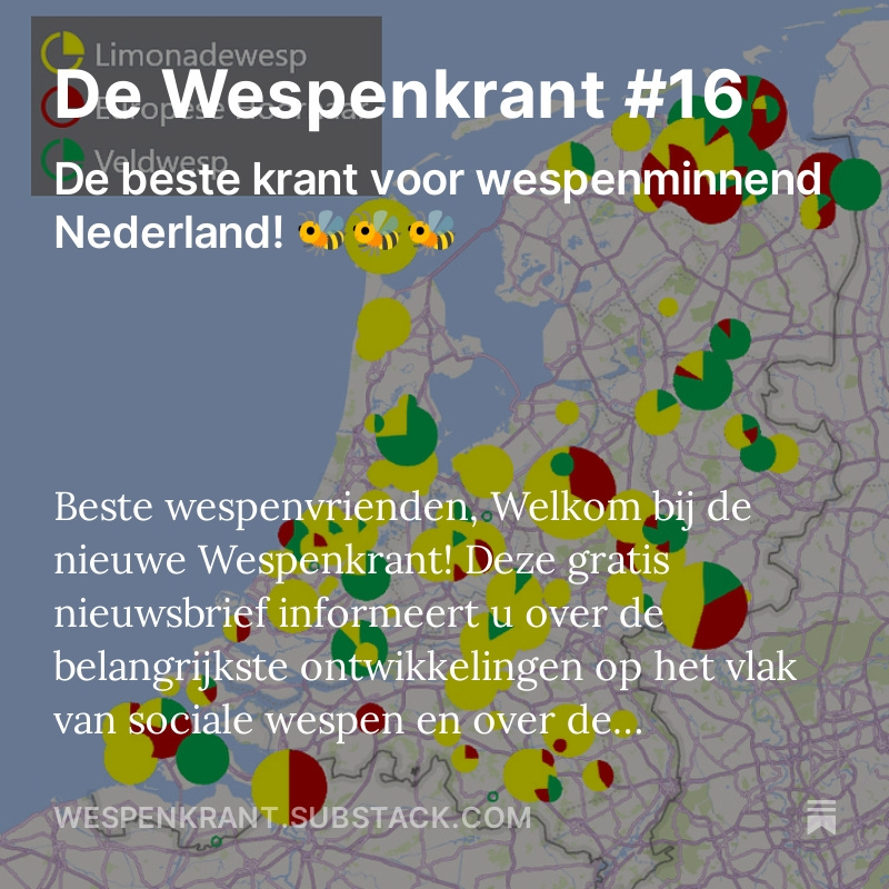 De nieuwe #Wespenkrant over het werk v/d
<a href="/wespenstichting/">Wespenstichting</a> is zojuist verschenen! 
Onderwerpen: jaaroverzicht 2023, de #wespentelling, onze cursussen, wespenkasten, etc. 
Steun ons en de sociale wespen door je gratis op de nieuwsbrief te abonneren.👍
open.substack.com/pub/wespenkran…