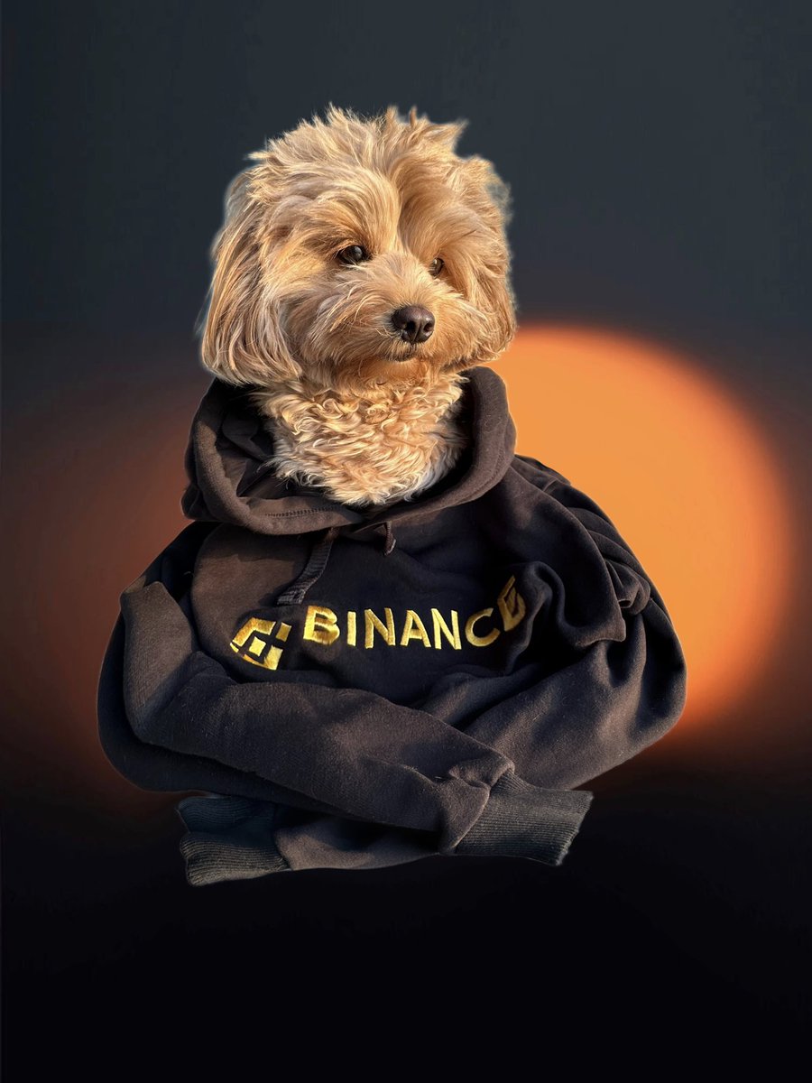 ๐๐ซ๐ฒ๐ฉ๐ญ๐จ_๐๐๐ฏ๐ tweet media