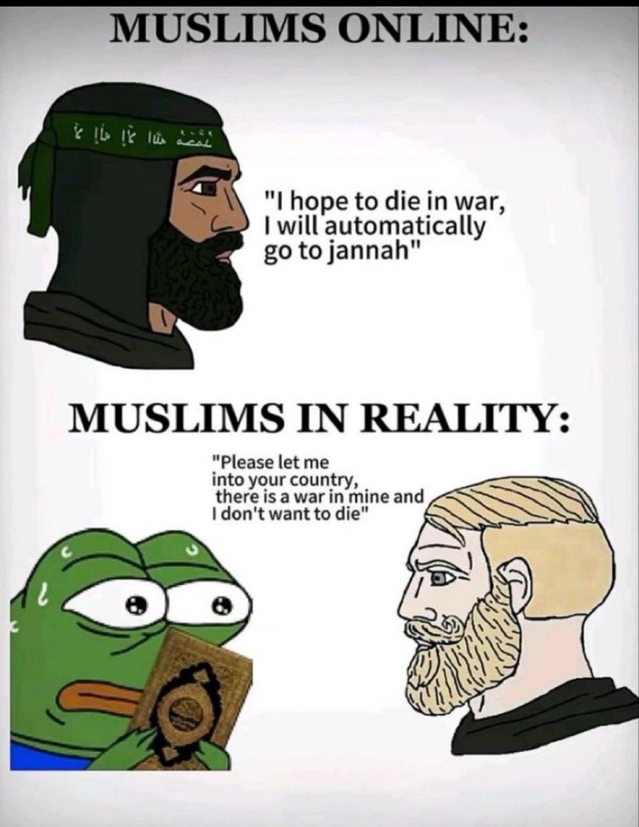 Steve_BKK (@bkkstev) on Twitter photo 