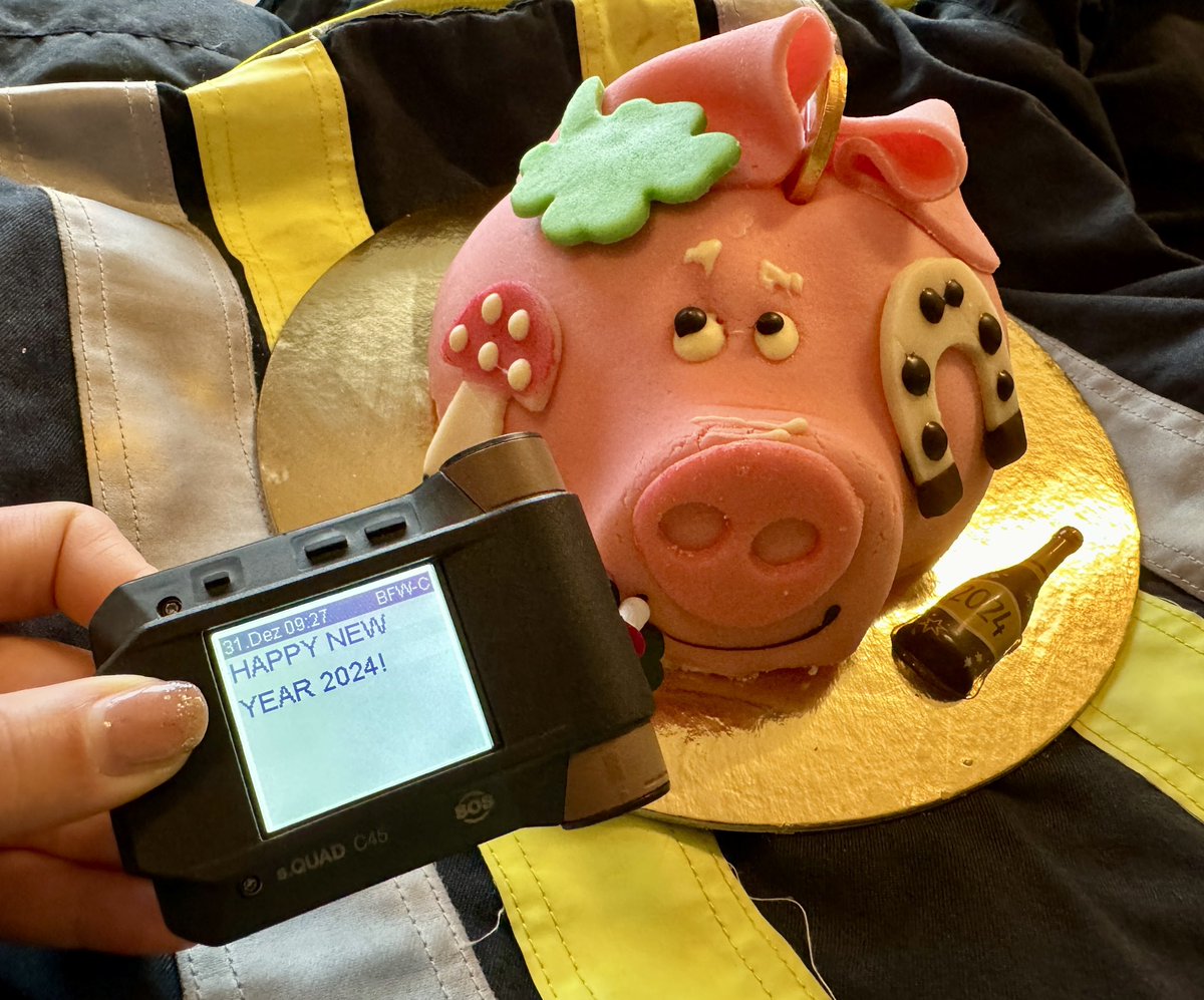Swissphone_IT's tweet photo. Wir wünschen allen Einsatzkräften einen guten und möglichst ruhigen Rutsch ins neue Jahr 2024! Wir freuen uns auf weitere spannende Projekte im neuen Jahr ✨ 📟 #swissphone #alarmierung #südtirol #jederzeiteinsatzbereit #squad https://t.co/Gx4EXHCE5M