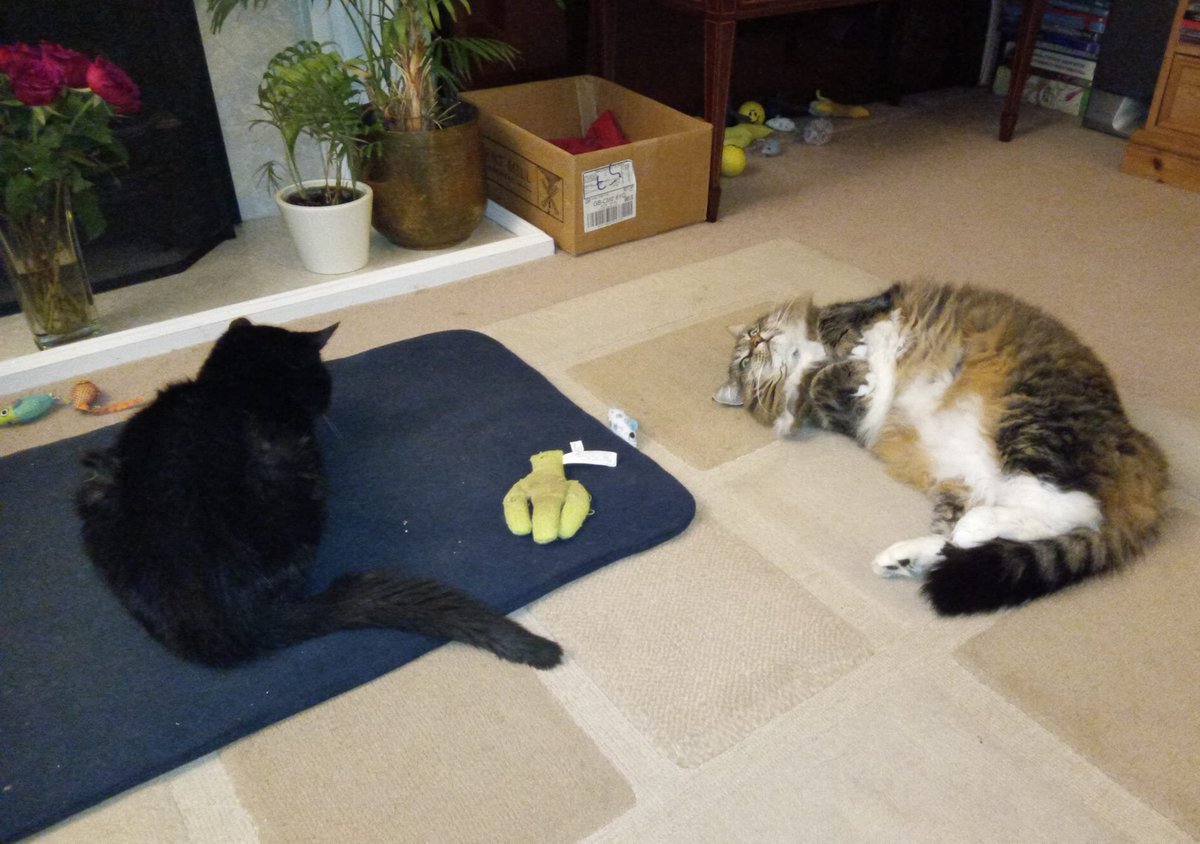 Nigel Sadler tweet media