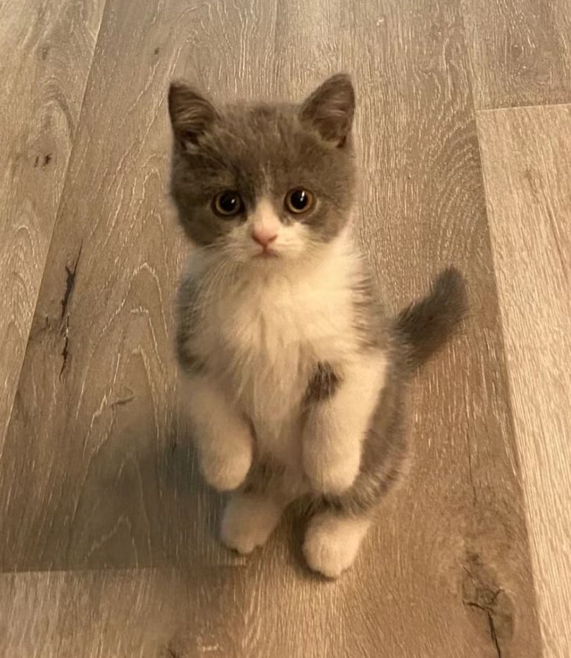 Happy New Year 🐾

#新田真剣佑 #Mackenyu