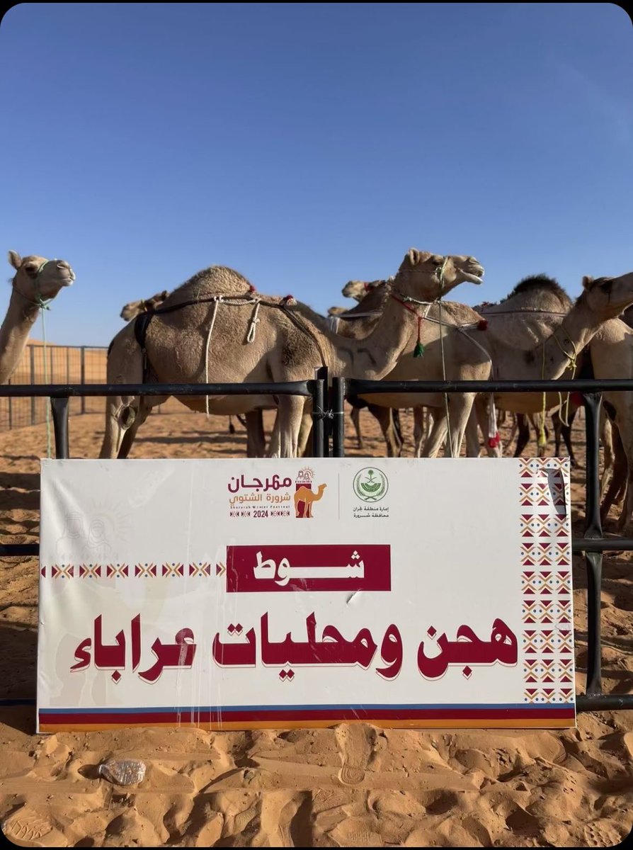 محمد عوض الصيعري tweet media