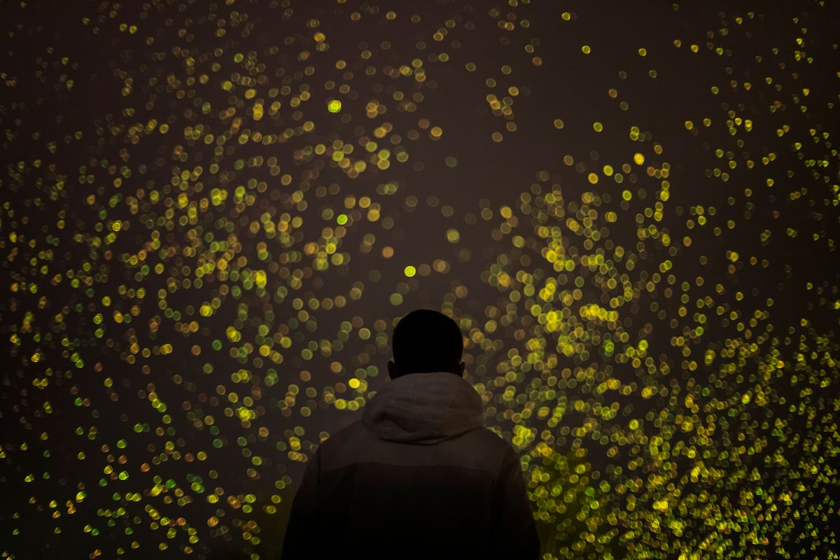 OUD&amp;NIEUW ZONDER FIJNSTOFPIEK? | Kunstenaar Daan Roosegaarde ontwikkelde een kunstwerk van biologisch afbreekbare sparks als eco-alternatief voor #vuurwerk. Wij wensen jullie een liefdevol en innovatief 2024!💫 
visitleeuwarden.com/nl/spark
#luchtvervuiling #luchtkwaliteit