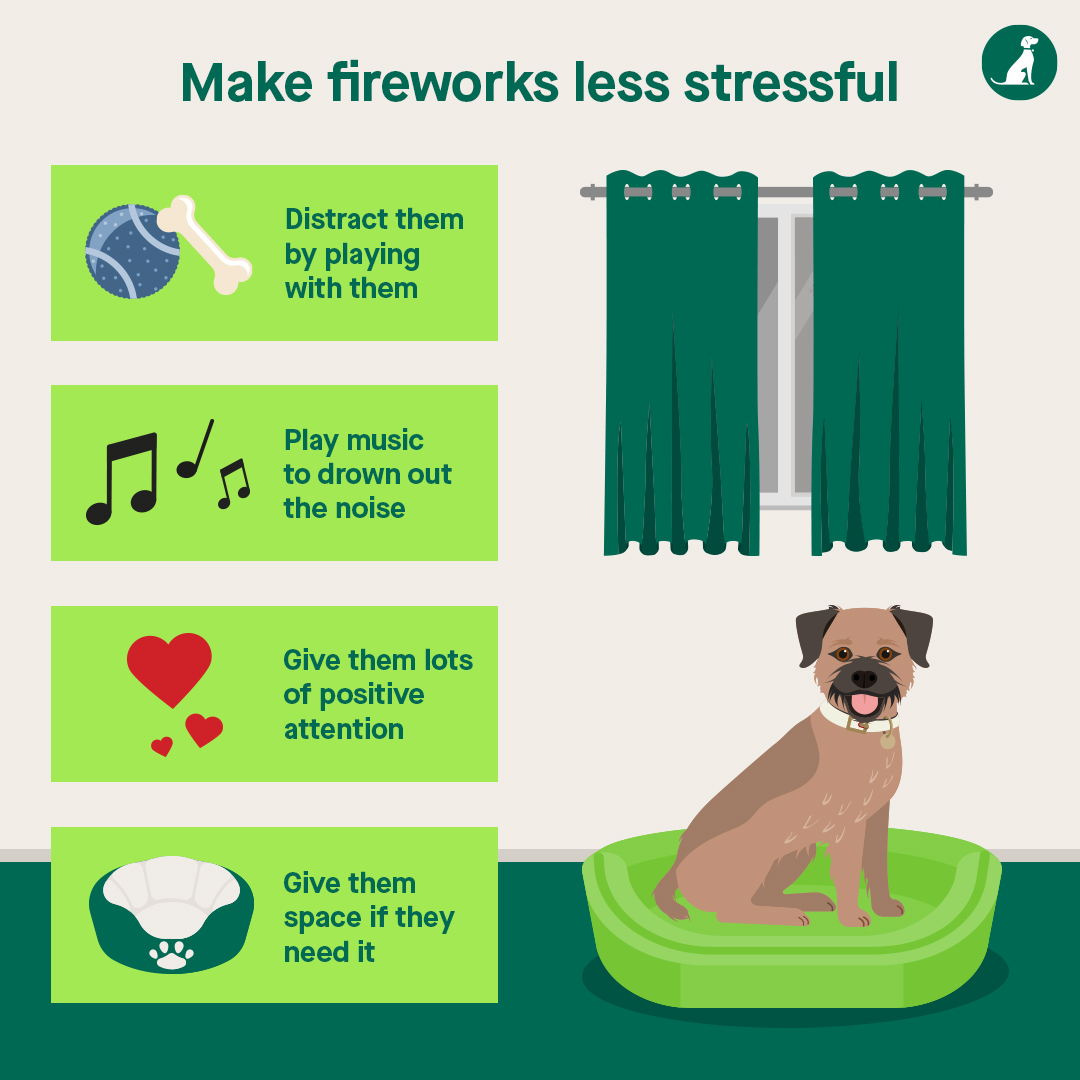 Some people’s new year starts with a BANG, but for some pets, it starts in fear. Find out how to help your pet cope with their anxiety at petlog.org.uk/fireworks.