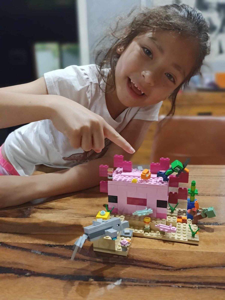 red42dragon_'s tweet photo. My nieces Izzy &amp; Sienna have already finished the MineCraft Lego I got them for Christmas 🎄 #minecraft #minecraftlego #lego https://t.co/G86JewmoaJ