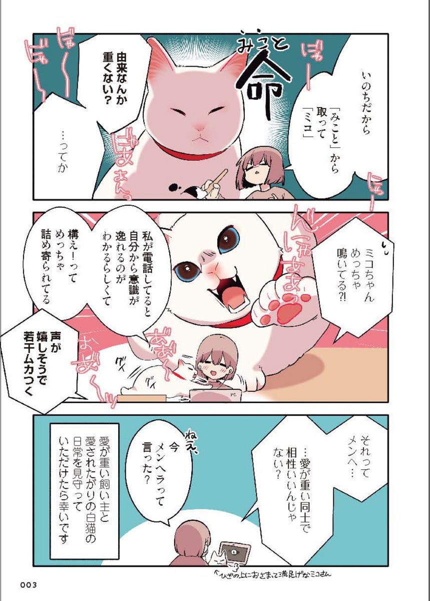 甘えんぼ過ぎてヤンデレ気味な猫の話(2/3) #漫画が読めるハッシュタグ #愛されたがりの白猫ミコさん