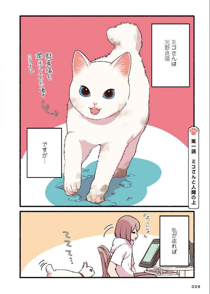 甘えんぼ過ぎてヤンデレ気味な猫の話(2/3) #漫画が読めるハッシュタグ #愛されたがりの白猫ミコさん