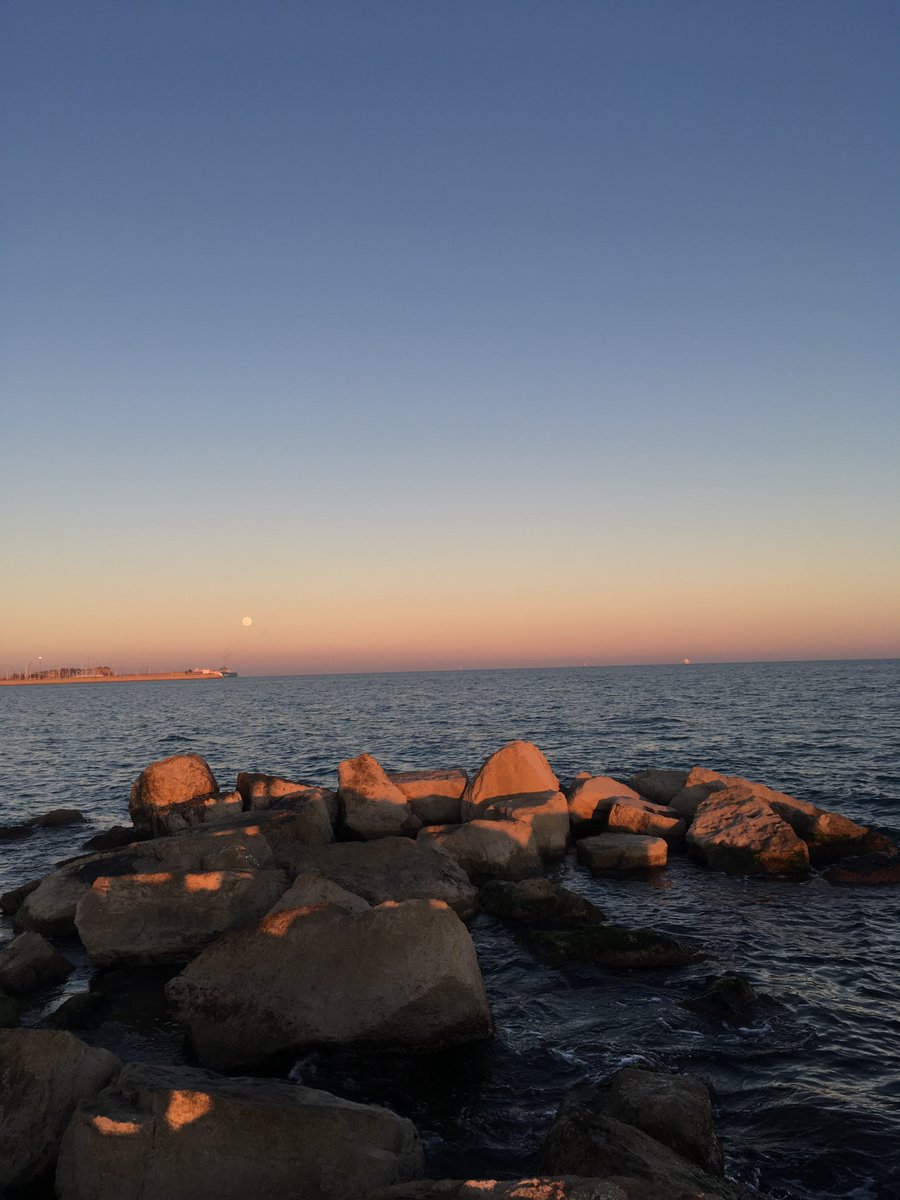 rohit7gupta's tweet image. 12 months in 12 tweets
Jan 23 : Hiked to Peñalara in -10C 
Cycled in Valencia, 
Made a cool project using @nextofficial and @particle Started clicking again using vintage cameras