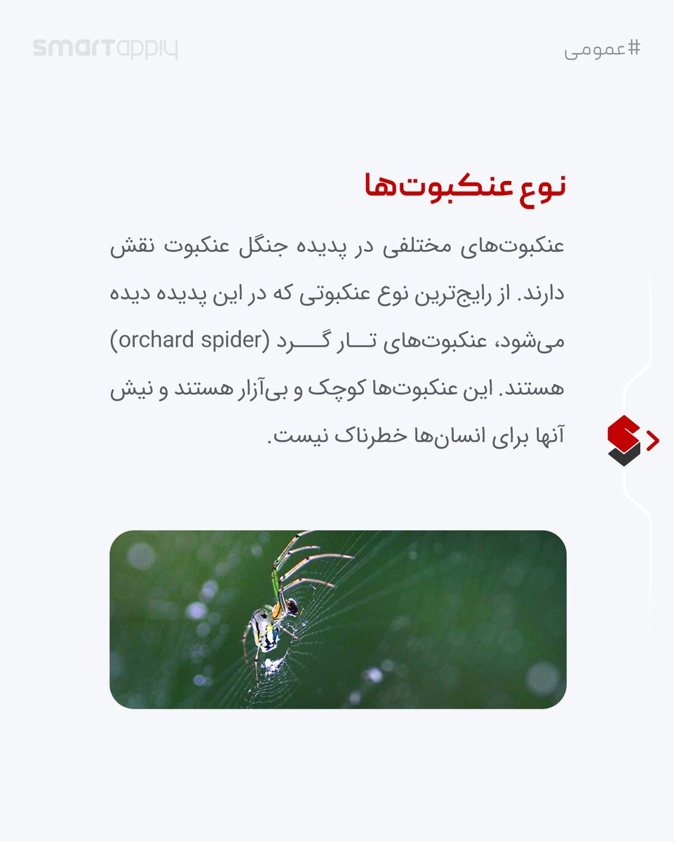 mysmartapply's tweet photo. 😮جنگل عنکبوت استرالیا، واقعیست یا تخیلی؟

#عمومی

/اسمارت اپلای
_____
#رشتو
#smartapply #اسمارت_اپلای

#استرالیا #ترسناک #منابع_غذایی #عنکبوت #زیستگاه #حشرات #عجیب #جالب #چندش #سوسک #جنگل #زندگی https://t.co/kfHxsd8Qbl