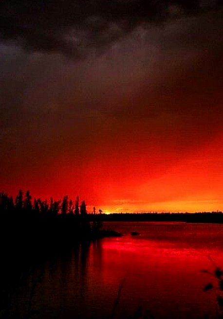 blood pulsing under freshly painted dusk canvas sanguine firmament #vss365 #blood #haikuchallenge #sanguine #haiku 📸 K. Carpenter