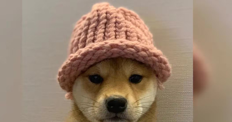 Crypto Time tweet media