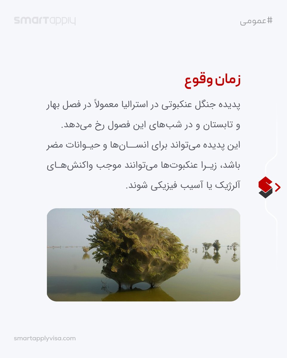 mysmartapply's tweet photo. 😮جنگل عنکبوت استرالیا، واقعیست یا تخیلی؟

#عمومی

/اسمارت اپلای
_____
#smartapply #اسمارت_اپلای

#استرالیا #ترسناک #منابع_غذایی #عنکبوت #زیستگاه #حشرات #عجیب #جالب #چندش #سوسک #جنگل #زندگی https://t.co/VdYg41RZim